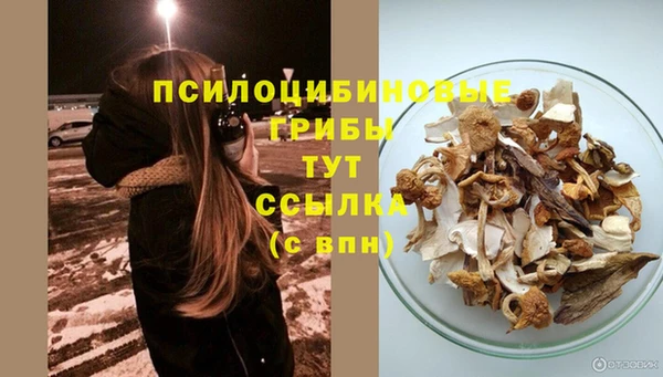гидропоника Абдулино
