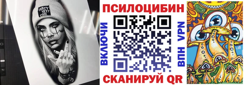 наркошоп  Томилино  даркнет официальный сайт  Псилоцибиновые грибы MAGIC MUSHROOMS  OMG ссылки 