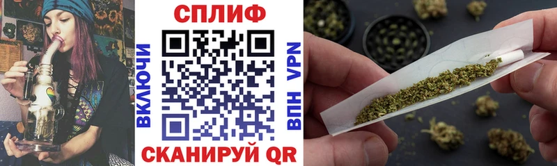 где купить наркоту  Томилино  Бошки марихуана сатива 